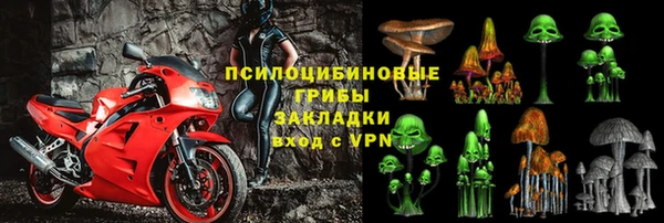 PSILOCYBIN Краснотурьинск