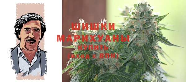 PSILOCYBIN Краснотурьинск