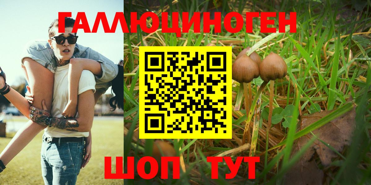 Сухой Лог  Галлюциногенные грибы прущие грибы  где найти наркотики  Вход с VPN 